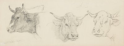 Study of Cattle for Sheep Shearing, 1872-77 by Walter Shirlaw